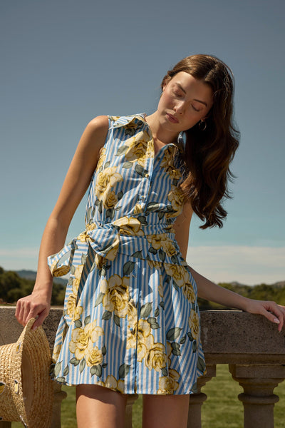 Biltmore Dress