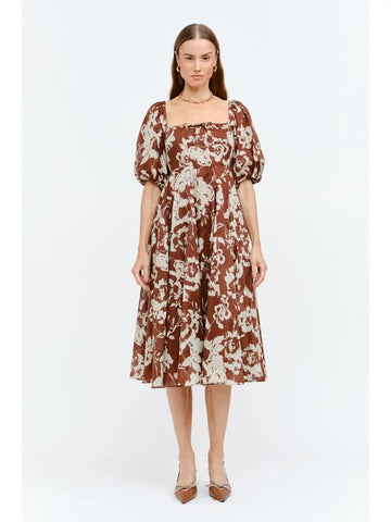 Delphi Brown Drs