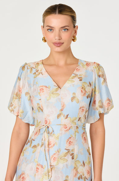 Lavena Dress