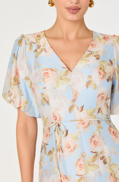 Lavena Dress