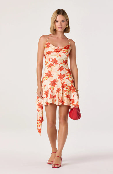 Paloma Dress