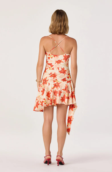 Paloma Dress