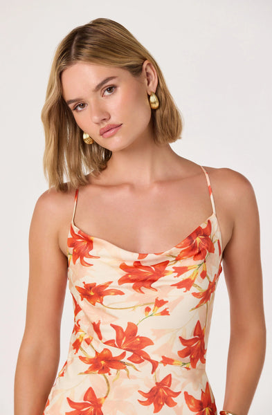 Paloma Dress