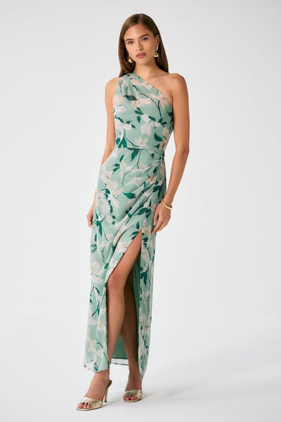 Siona Dress