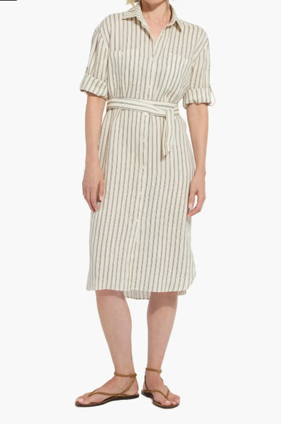 Jupiter Stripe Dress