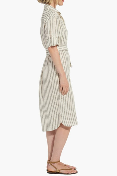 Jupiter Stripe Dress