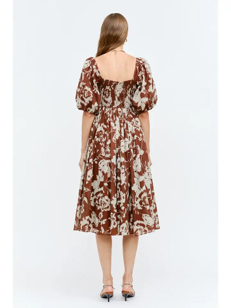 Delphi Brown Drs